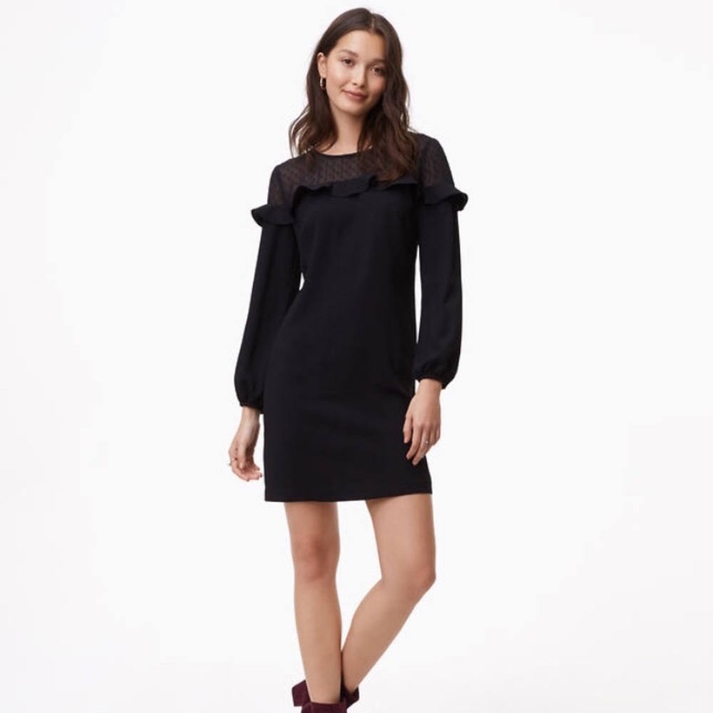 NWT Ann Taylor Sheer Dot Yoke Dress